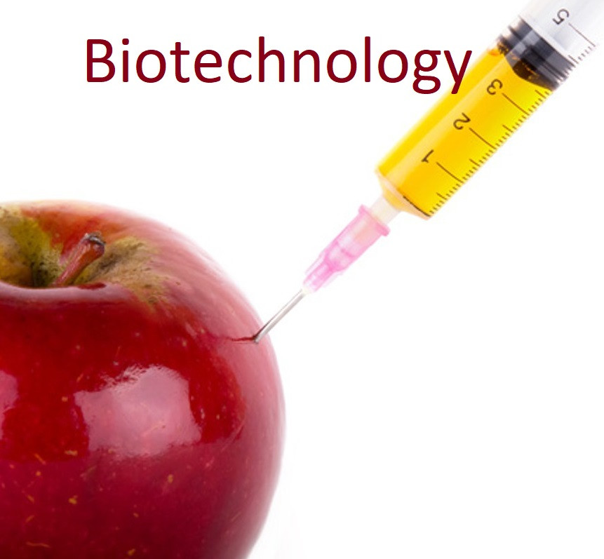 Nanobiotechnology