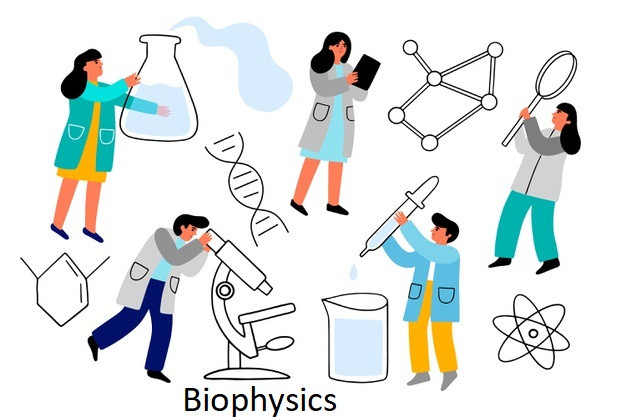 Bioinformatics